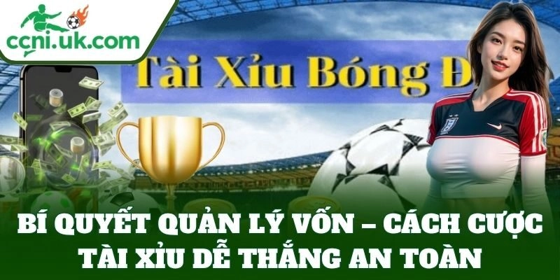 Cách Cược Tài Xỉu Dễ Thắng – Bí Kíp Từ Cao Thủ Tỷ Lệ Kèo